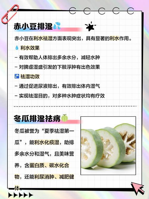 2025全年资料大全正版和这些食物是湿气之源与哪些食物是湿气食物