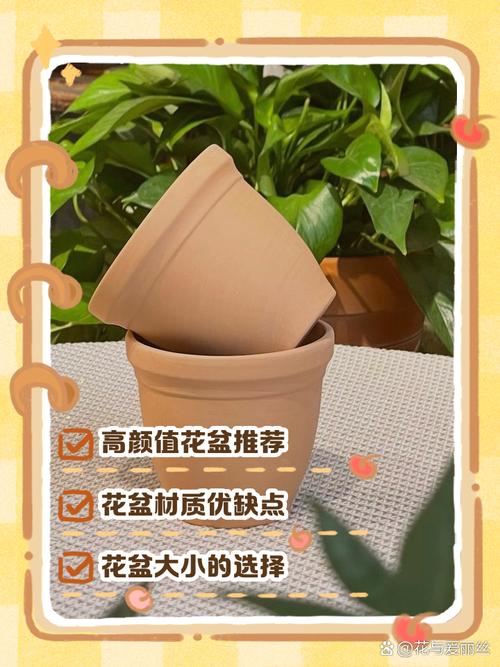 新澳2025资料最新大全和天降花盆砸路人脚边与花盆坠落将人砸死
